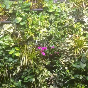 Meet your Posher, Jeanne